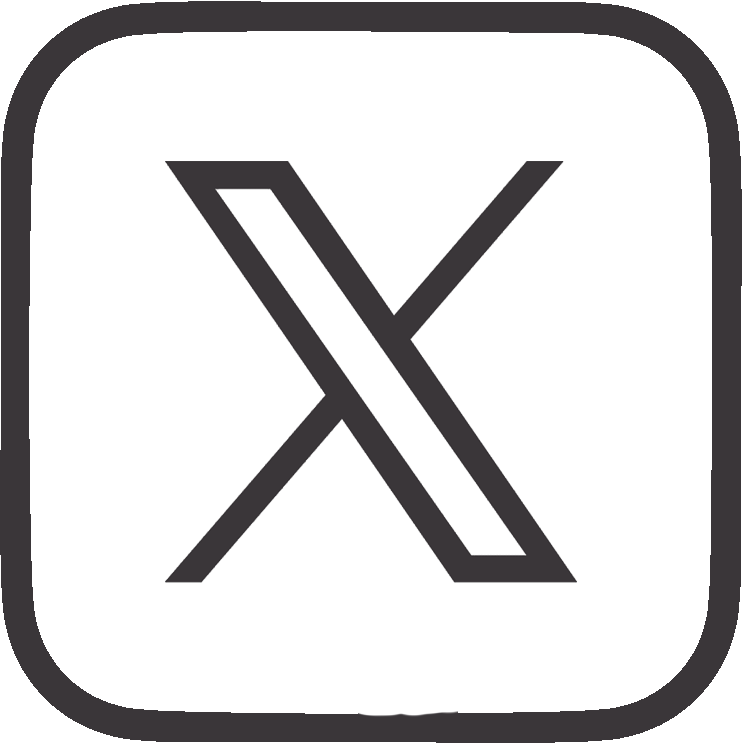 X Icon